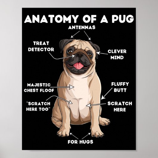 Anatomy of a Pug Poster (Vorne)