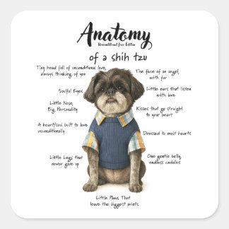 Anatomy of a Shihtzu Unconditional Love Edition Quadratischer Aufkleber