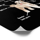 Anatomy of An Aussiedoodle Dog Poster (Ecke)