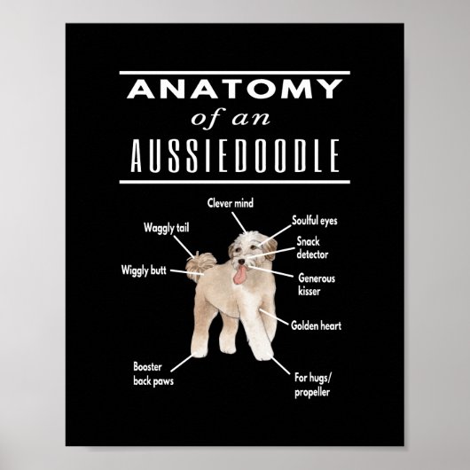 Anatomy of An Aussiedoodle Dog Poster (Vorne)