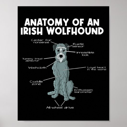 Anatomy Of An Irish Wolfhound  Poster (Vorne)
