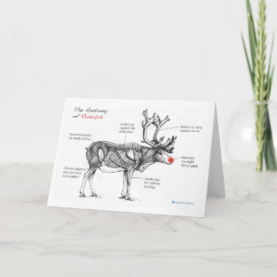 Anatomy of Christmas Card Feiertagskarte