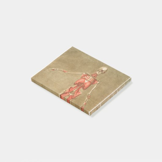 ANATOMY SKELETON BONES SKELETON MUSCLE HUMAN ANATO POST-IT KLEBEZETTEL (angewinkelt)