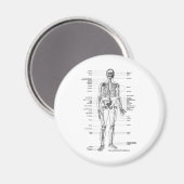ANATOMY SKELETON T - SHIRT UND GIFTS MAGNET (Vorderseite/Rückseite)