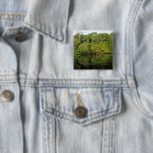 Anavilhanas, Amazonas, Brasil. Regenwaldfluss Button (Beispiel)