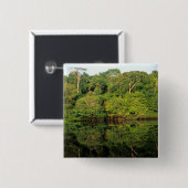 Anavilhanas, Amazonas, Brasil. Regenwaldfluss Button (Vorne & Hinten)