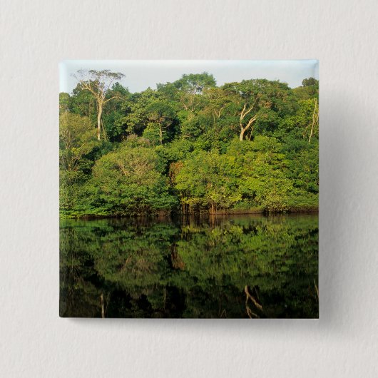 Anavilhanas, Amazonas, Brasil. Regenwaldfluss Button (Vorderseite)