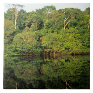 Anavilhanas, Amazonas, Brasil. Regenwaldfluss Fliese