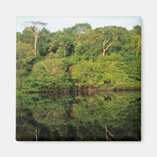 Anavilhanas, Amazonas, Brasil. Regenwaldfluss Magnet