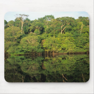 Anavilhanas, Amazonas, Brasil. Regenwaldfluss Mousepad