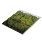 Anavilhanas, Amazonas, Brasilien. Regenwald Fliese (Seite)