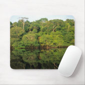 Anavilhanas, Amazonas, Brasilien. Regenwald Mousepad (Mit Mouse)