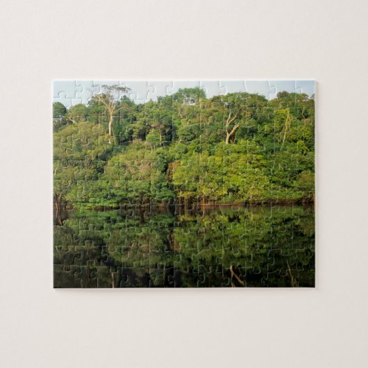 Anavilhanas, Amazonas, Brasilien. Regenwald Puzzle (Horizontal)