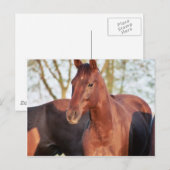 ANB Gotalil Gumption Postkarte (Vorne/Hinten)