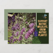 Anbau einheimischer Pflanze, Wildblumen aus Waldla Postkarte (Vorne/Hinten)