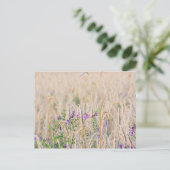 Anbau von Körner-Postkarte Postkarte (Stehend Vorderseite)