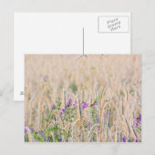 Anbau von Körner-Postkarte Postkarte (Vorne/Hinten)