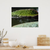 Anbaupolster Poster (Küche)