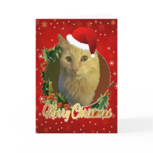 Anbetungswürdige Katze in Weihnachtsmannmütze Weih