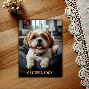 Anbetungswürdige Shih Tzu Gute Besserung Postkarte
