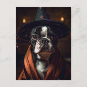 Anbetungswürdiger Boston Terrier Halloween Postkarte