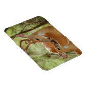 Anbinden von Kleinvieh Magnet (Rechte Seite)