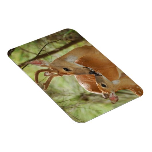 Anbinden von Kleinvieh Magnet (Rechte Seite)