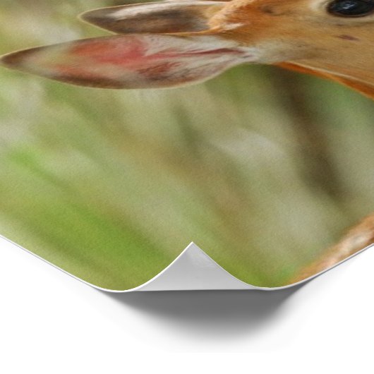 Anbinden von Kleinvieh Poster (Ecke)