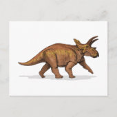 Anchiceratops Dinosaurier Postkarte (Vorderseite)