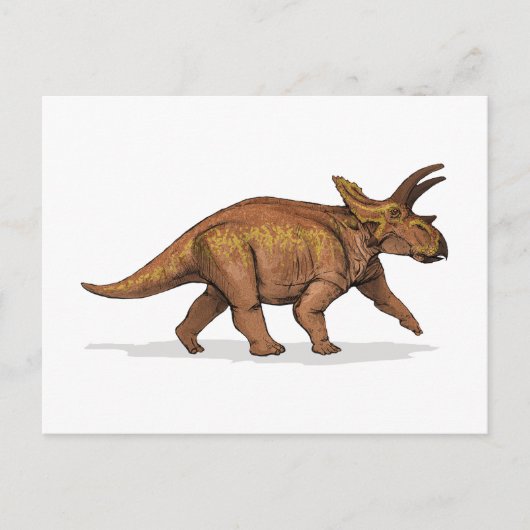 Anchiceratops Dinosaurier Postkarte (Vorderseite)