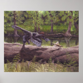 Anchiornis Print Poster
