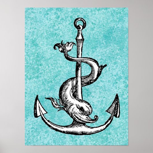 Anchor und Dolphin - Festina Lente Poster (Vorne)