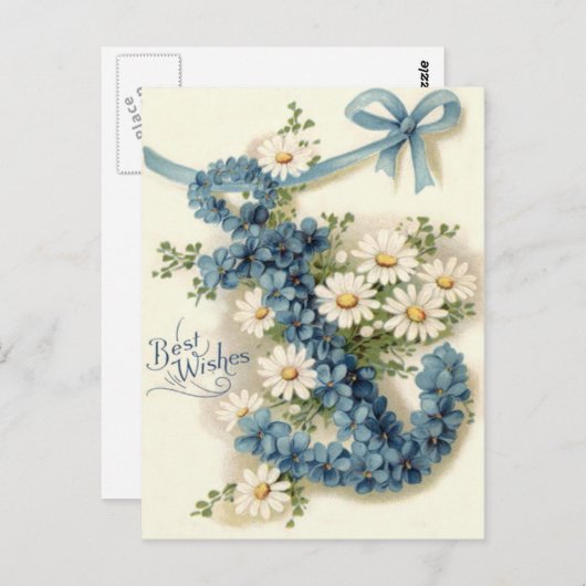 Anchor Vergessen-Me-not Daisy Postkarte (Vorne/Hinten)