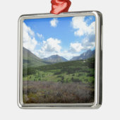 Anchorage Alaska Silbernes Ornament (Links)