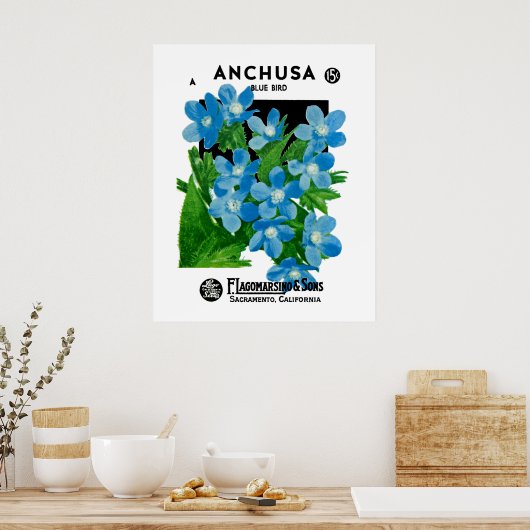 Anchusa Poster (Küche)