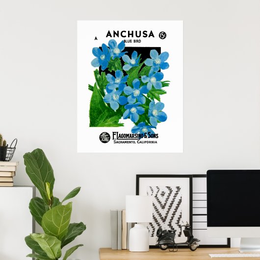 Anchusa Poster (Heimbüro)