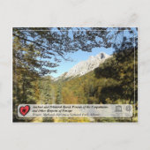 Ancient and Primeval Beech Forests - Rrajca Postkarte (Vorderseite)