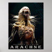 Ancient Beast & Creatures: ARACHNE Poster (Vorne)