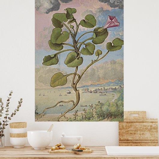 Ancient Botanical Art Coastal Bindung Poster (Küche)