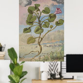 Ancient Botanical Art Coastal Bindung Poster (Heimbüro)