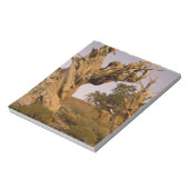 Ancient Bristlecone Forest, White Mountains, CA Notizblock (Rotiert)