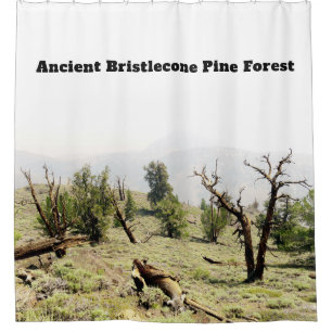 Ancient Bristlecone Pine Forest California Duschvorhang