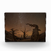 Ancient Bristlecone Pine Forest | California Fotoblock (Vorderseite)