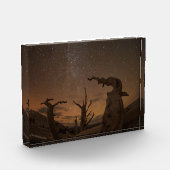 Ancient Bristlecone Pine Forest | California Fotoblock (Links)