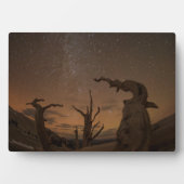 Ancient Bristlecone Pine Forest | Kalifornien Fotoplatte (Vorderseite)