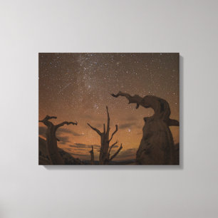 Ancient Bristlecone Pine Forest Kalifornien Leinwanddruck