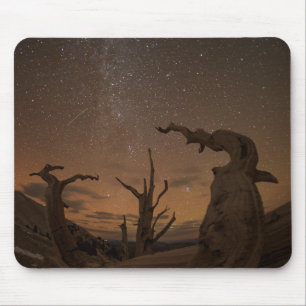 Ancient Bristlecone Pine Forest   Kalifornien Mousepad