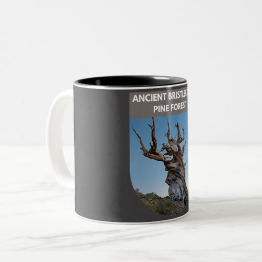 Ancient Bristlecone Pine Forest Zweifarbige Tasse (Vorderseite Links)