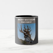 Ancient Bristlecone Pine Forest Zweifarbige Tasse (Mittel)