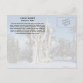 Ancient Bristlecone Pine, Winter, Great Becken NP Postkarte (Rückseite)